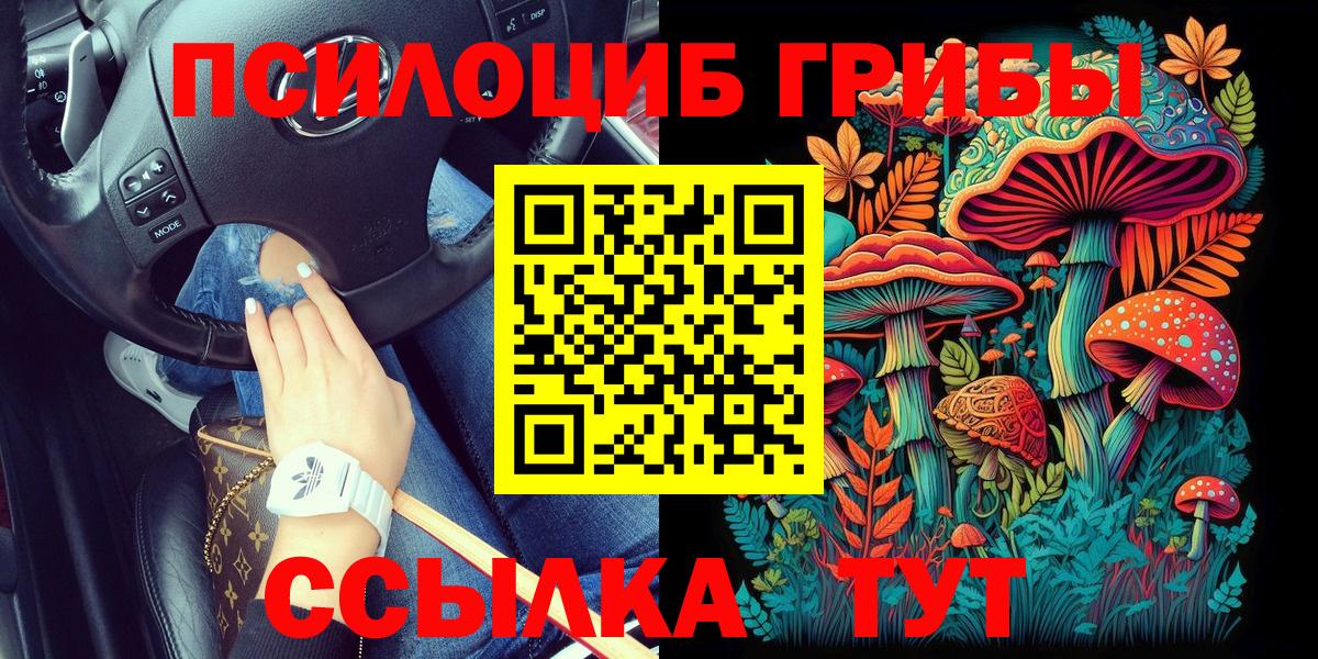 Псилоцибиновые грибы Cubensis  Вход с VPN  Осинники 